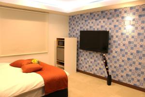 Hotel Pal Anesso Nakatsu (Love Hotel)