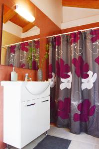 House Elivia Lefkada Greece