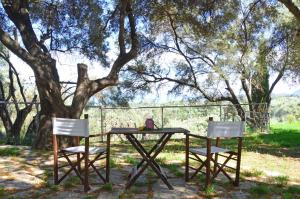 House Elivia Lefkada Greece