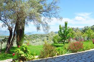 House Elivia Lefkada Greece