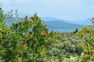 House Elivia Lefkada Greece