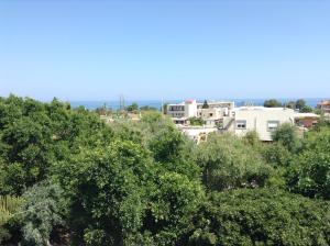 Arokaria and Aloe houses NEXT TO THE BEACH Rethymno Greece