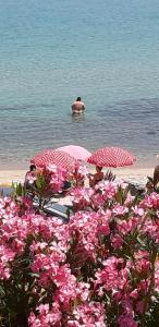 Joanna's Seaside Villa Halkidiki Greece