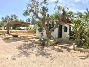 WHITE POOL 2P Matino - Gallipoli