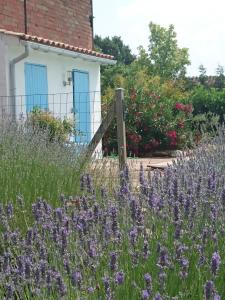 Maisons d'hotes La Fousiquade : photos des chambres