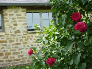 B&B / Chambres d'hotes 4 Collines : Chambre Quadruple - Vue sur Jardin