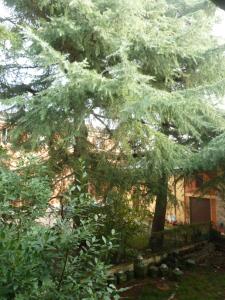 LA STANZA SUI CEDRI - Smart working - Airport - Private Parking - Ducati - Philip Morris