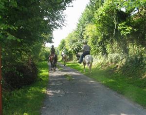 B&B / Chambres d'hotes 4 Collines : photos des chambres