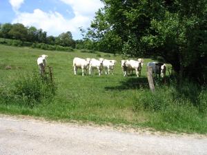 B&B / Chambres d'hotes 4 Collines : photos des chambres