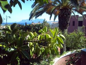 Hotel Abbaruja img65