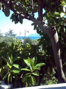 Hotel Abbaruja img59