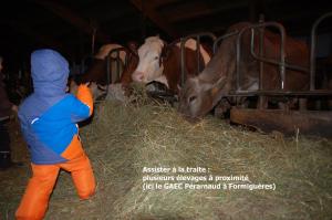 Chalets La-Haut : photos des chambres