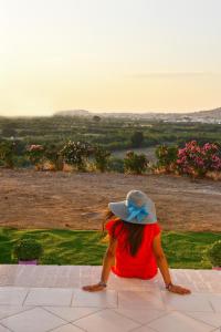 Naxian vacation with sea view Naxos Greece