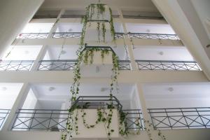 Corina Suites & Apartments