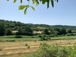 Appartements Domaine le Commandaire : photos des chambres