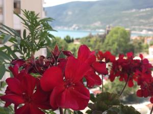 Pension Two Bedroom Suite with Private Bath Igalo Montenegro