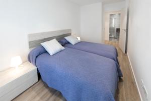 Apartamentos LA CATEDRAL 1ºA