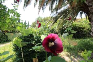 Apartment City Centre free parking 1&2 floor