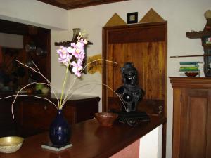 Hotel Veragua River House