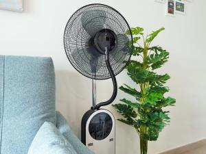 Sunset Spot Fuerteventura Premium I