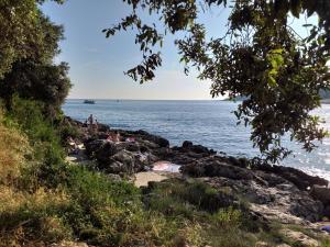 Levak Apartments - Apt. 1