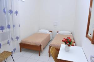 Apartment- Type D