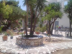 ground floor apartment Paros Greece