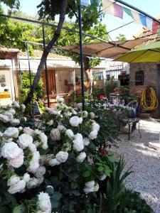 Maisons d'hotes LES TERRES BASSES : photos des chambres