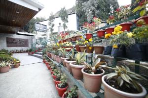 Sikkim Tourist Centre