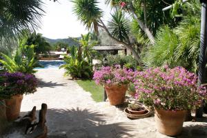 Hotel Rural Cas Pla