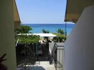 Iliotropio Ligia - Ligia