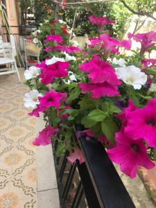 Simple and very nice img2