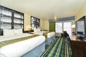 Queen Room with Two Queen Beds - Non-Smoking room in Super 8 by Wyndham Vallejo/Napa Valley