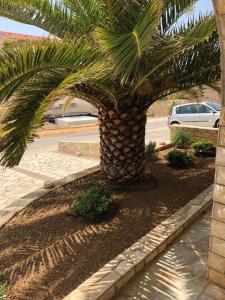 3 star apartement Miamare Kustići Horvaatia