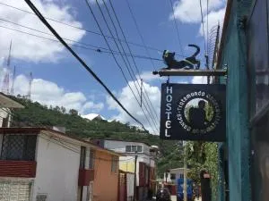 Trotamundo Oaxaca Hostel - Città di Oaxaca