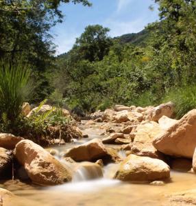 Maisons de vacances Gite in the heart of Corbieres : photos des chambres