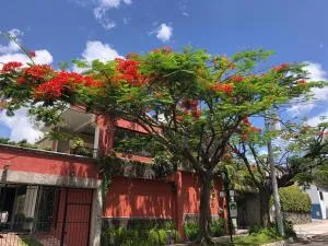 Hotel Arbol de Fuego - Antiguo Cuscatlán