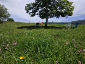 Appartements Les Chamois : photos des chambres