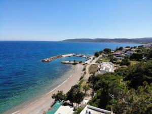 Theoxenia Chios Chios-Island Greece