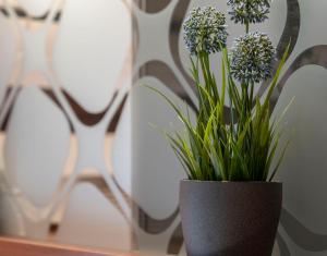 Bergwelt-M - Scheunencamping