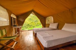 Wild Glamping Knuckles - Thema Collection