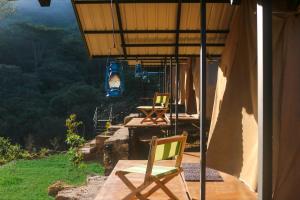 Wild Glamping Knuckles - Thema Collection