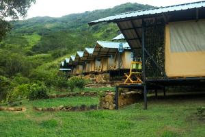 Wild Glamping Knuckles - Thema Collection