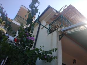 Apartmani Mira Brela 