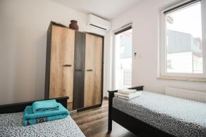 Apartament Lublin Stare Miasto "Wild Cat"