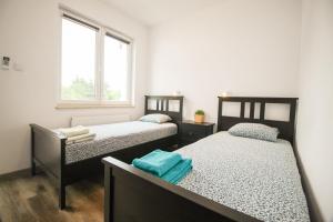 Apartament Lublin Stare Miasto "Wild Cat"