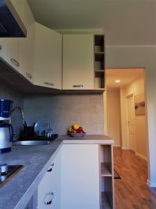 Modern city center apartment