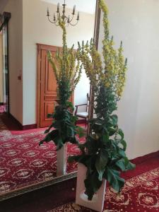 Hotel Plock