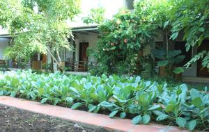 My Parents Guesthouse