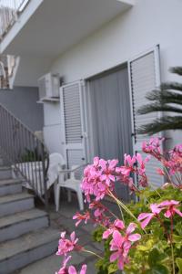 Oasi di Villa Damecuta